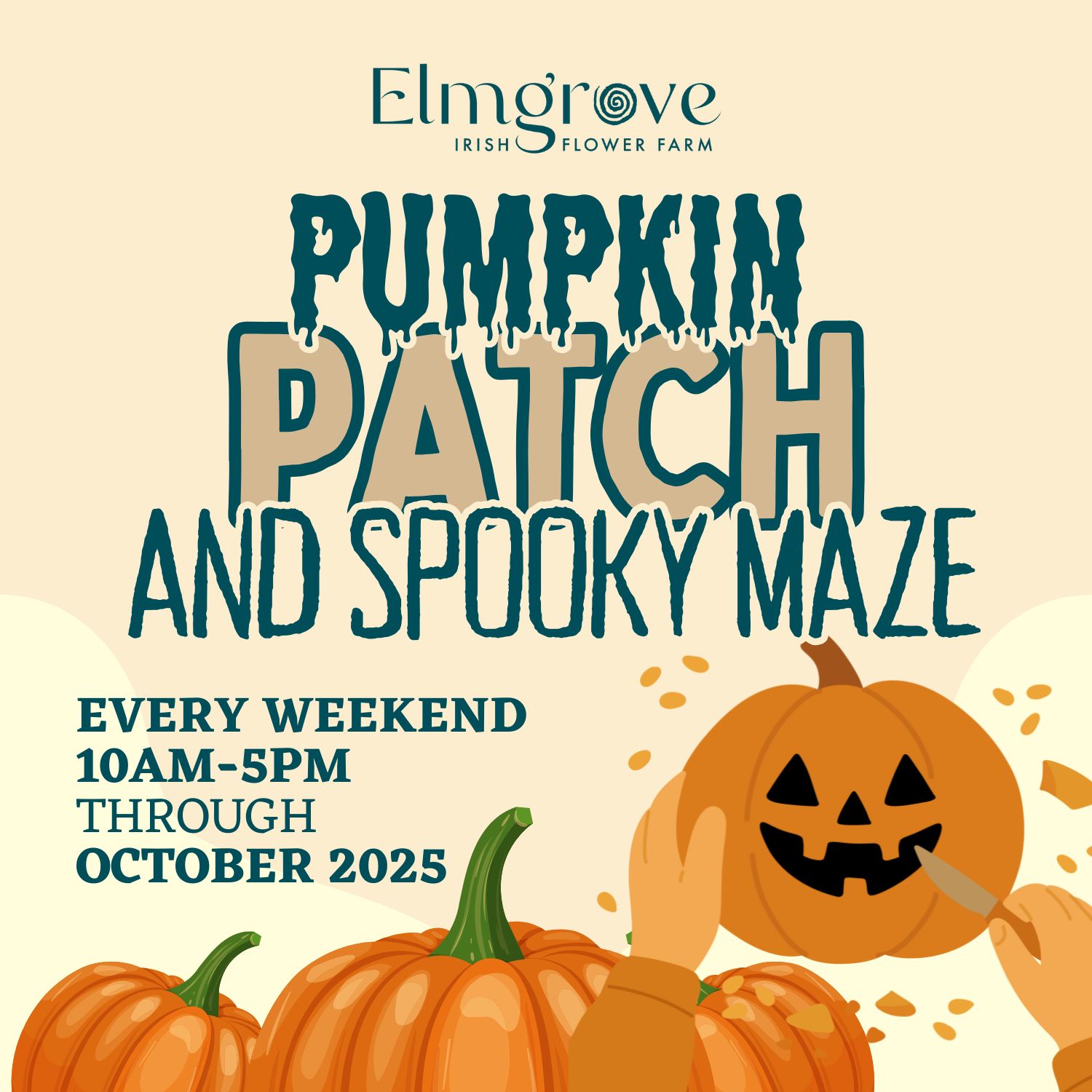 Pumpkin Patch & Spooky Maze
