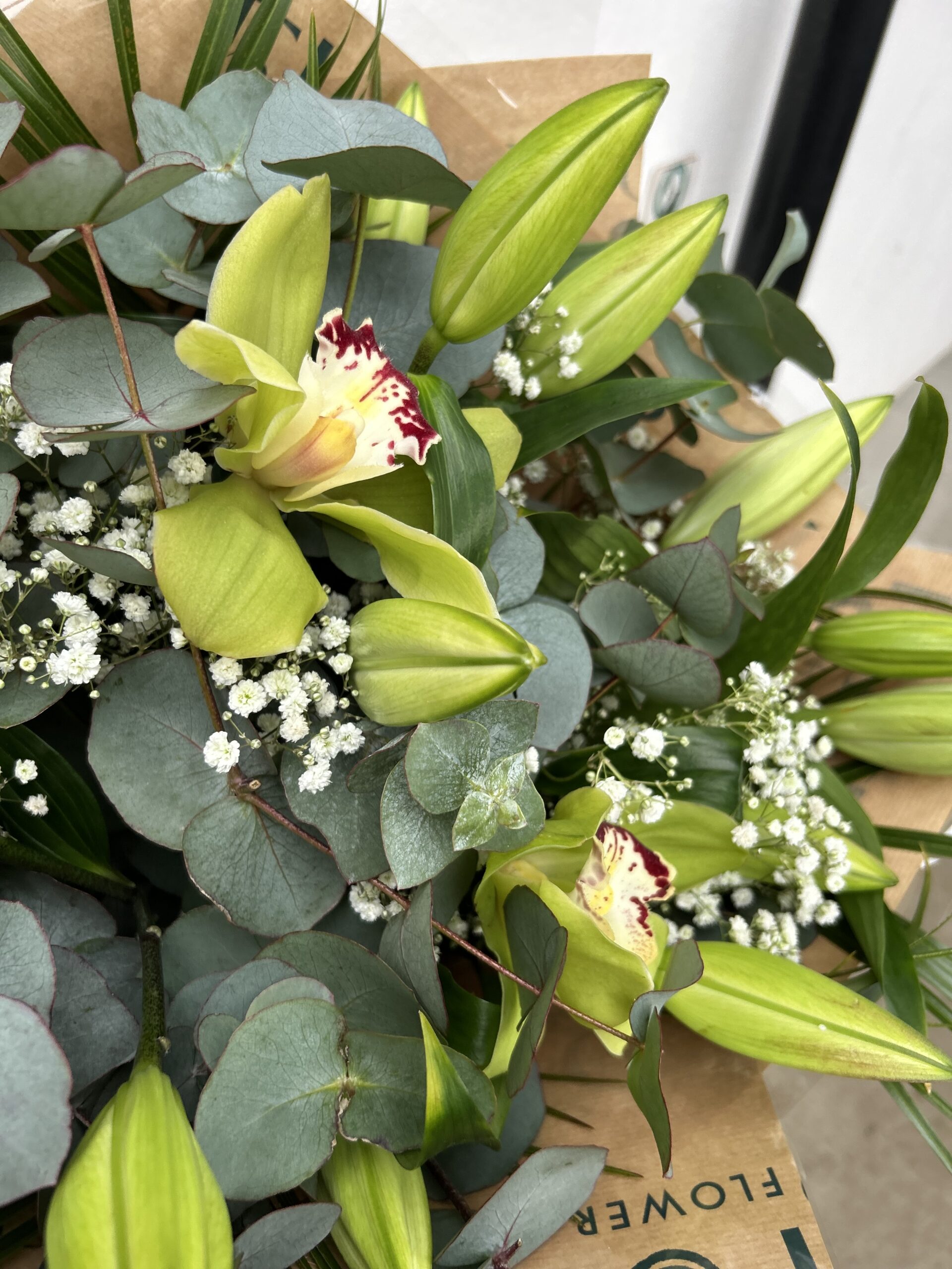 Mother's Grace - Image 2