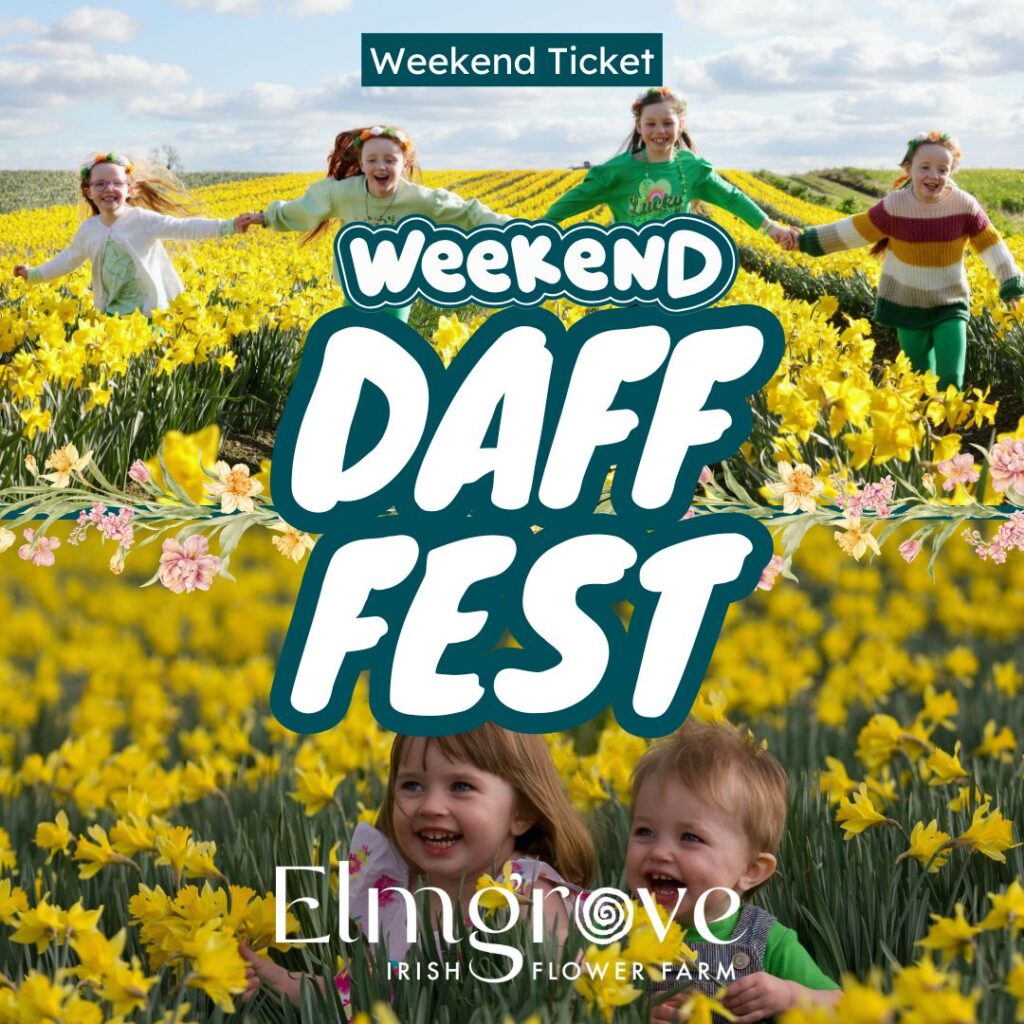 Daff Fest Weekend Ticket